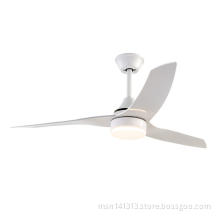 Silent Energy-saving Ceiling Fan with Light